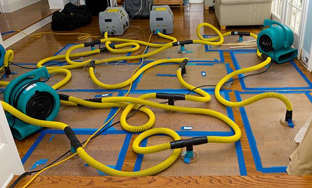 Professional Emergency Water Removal technician working in Vermontville, MI